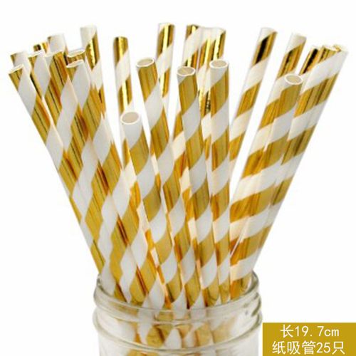 Casame Elegant Disposable Tableware Set for Events & Parties