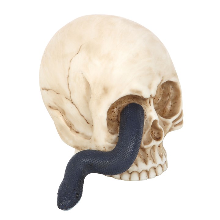 Skull Ornament with Snake