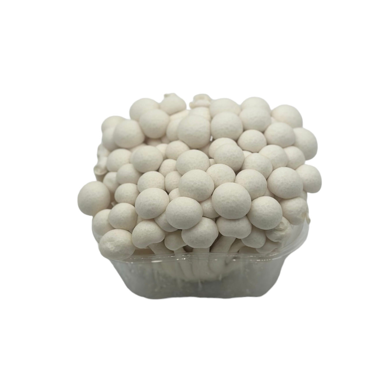 White Hon Shimeji Mushrooms 150g | Gourmet Japanese Mushrooms