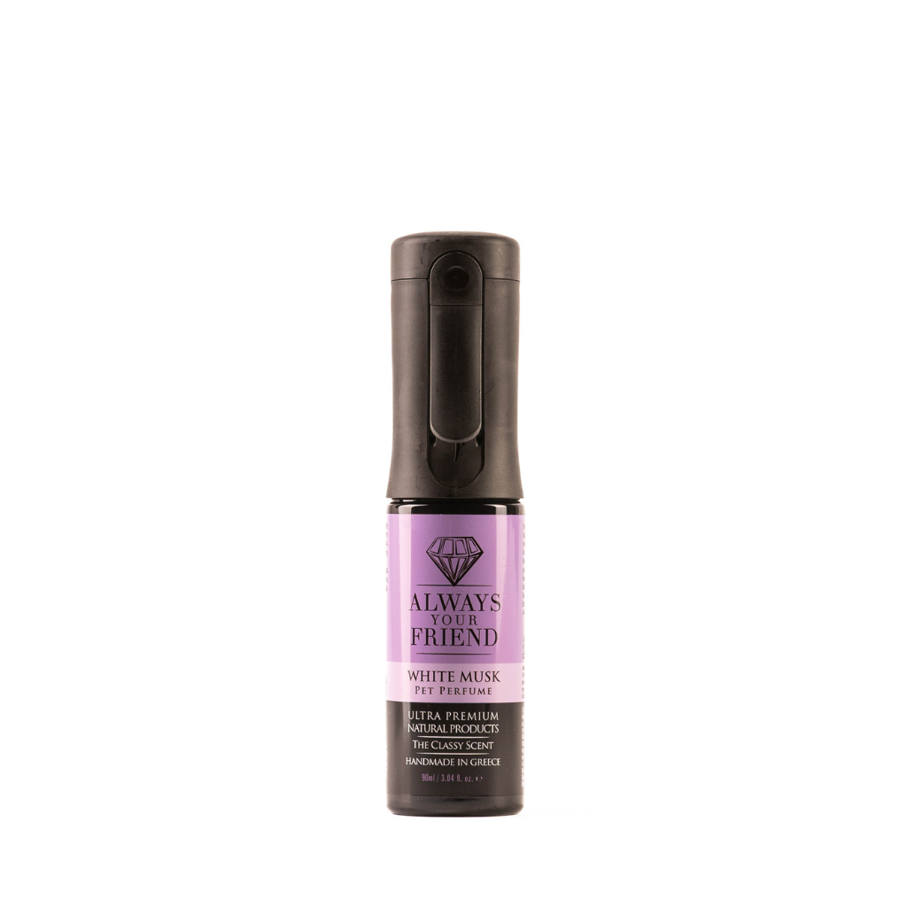 Always Your Friend White Musk – Long-Lasting Perfume Spray (90ml)