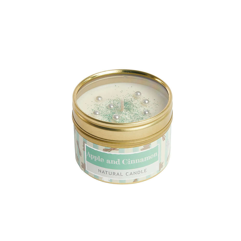 Apple and Cinnamon Tin Candle
