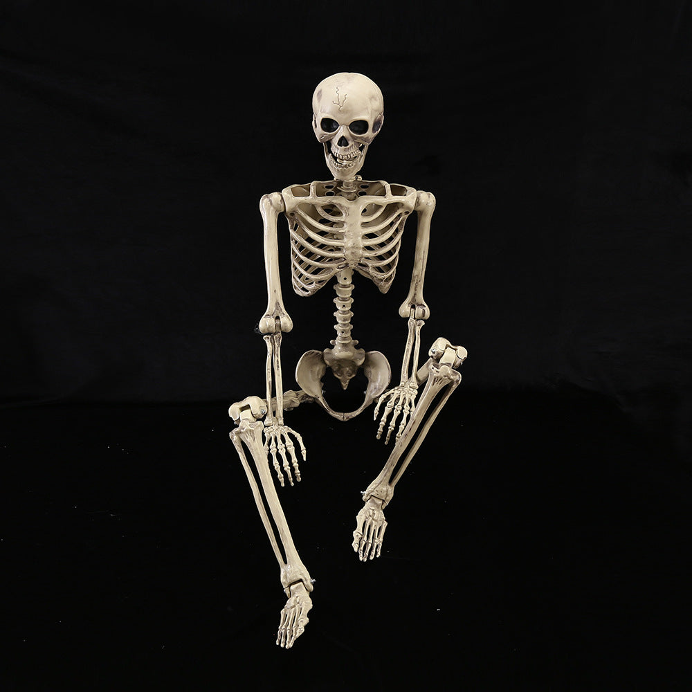 Halloween Skull Fish Skeleton Hanger 80cm - Realistic Spooky Decoration