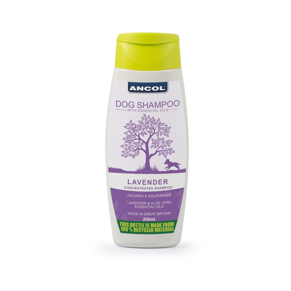 Ancol Dog Shampoo Lavender 200ml - Case of 6