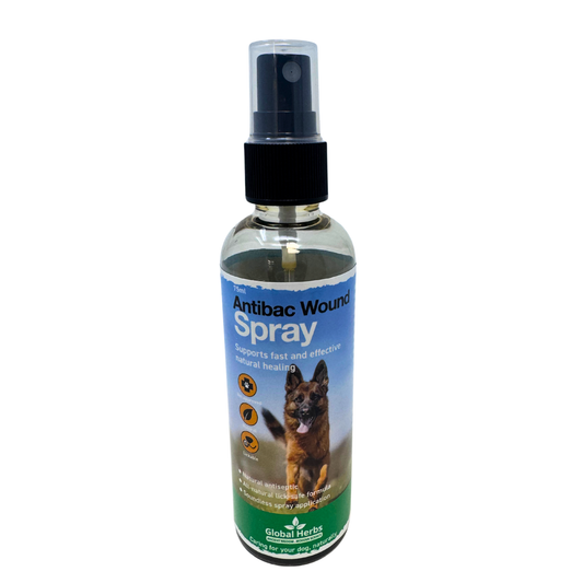 Antibacterial Wound Spray for Dogs – 75ml