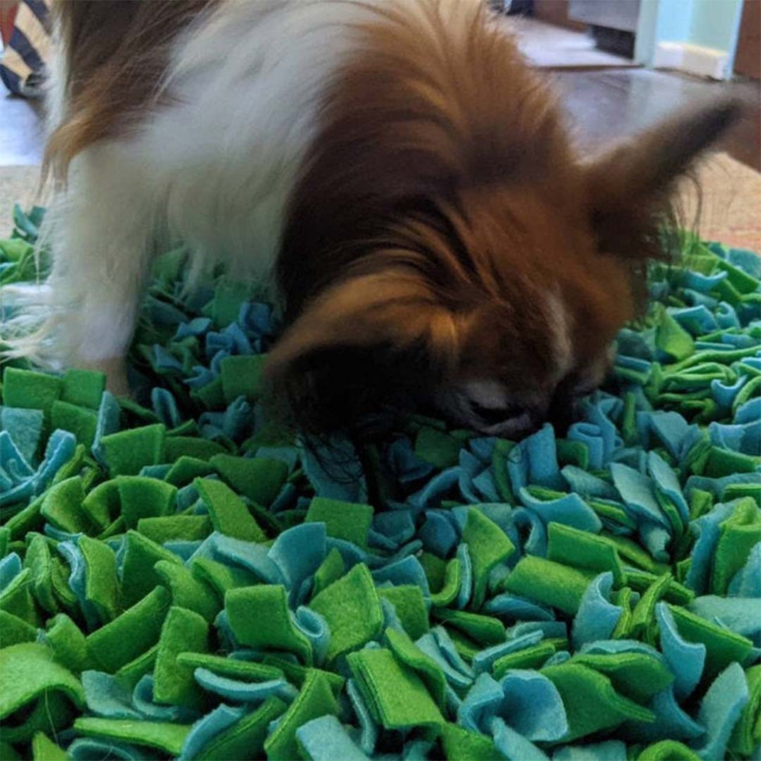 Pet Smell Pad Interactive Splicing Supplies Slow Food Training