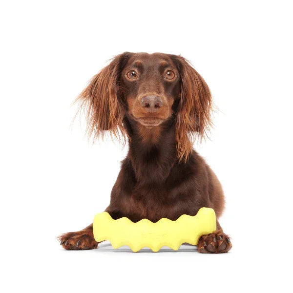 Bark Crinkle Fry Dog Toy