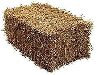 Barley Straw Bale - The North East Pet Shop
