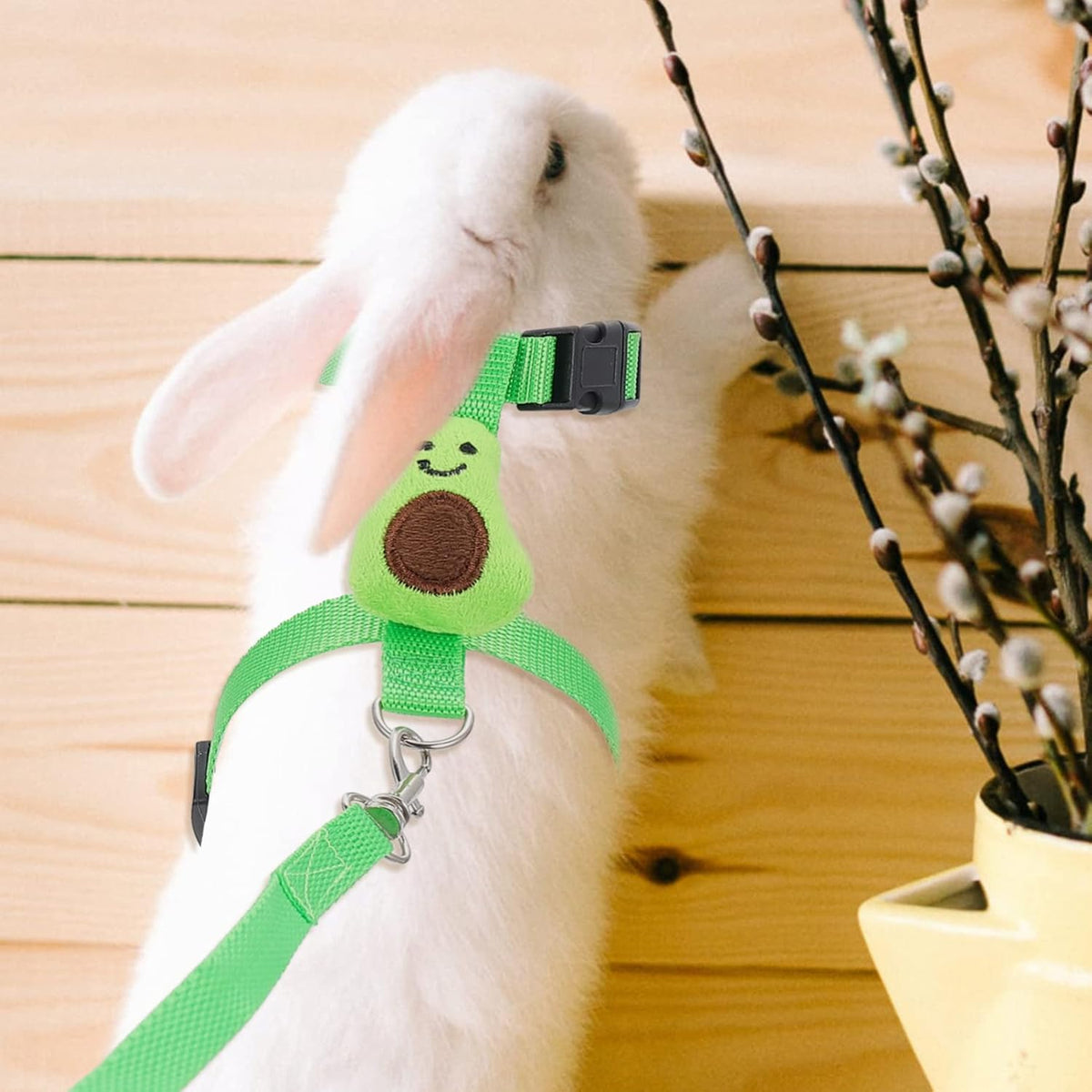Small Pet Traction Rope And Harness - Keep Your Cat Dog Or Other Small Pet Safe And Secure