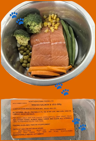 Northern Raw Feeds - Salmon & Vegetables - 300g