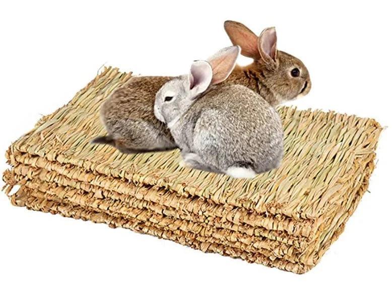 Boredom Grass Chill N Chew Mat