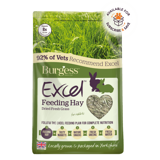 Burgess Excel Feeding Hay 1kg - Case of 4