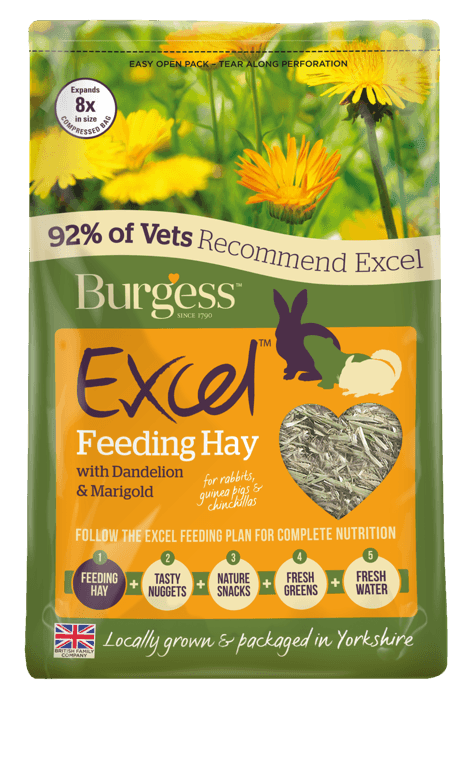 Burgess Excel Hay D/LionMarigold 1kg - Case of 4