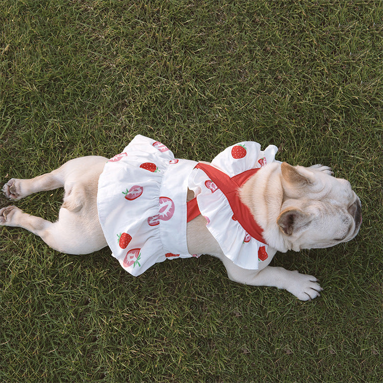 Lotus Leaf Lace Suspender Skirt Fadou Sherry Teddy Small And Medium Sized Dog, Cat And Dog Clothes Bago Strawberry Print