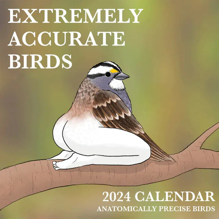 Extremely Accurate Birds Calendar Decorative Wall Monthly Calendar For Bird Lovers Room Calendars For Bedroom Living