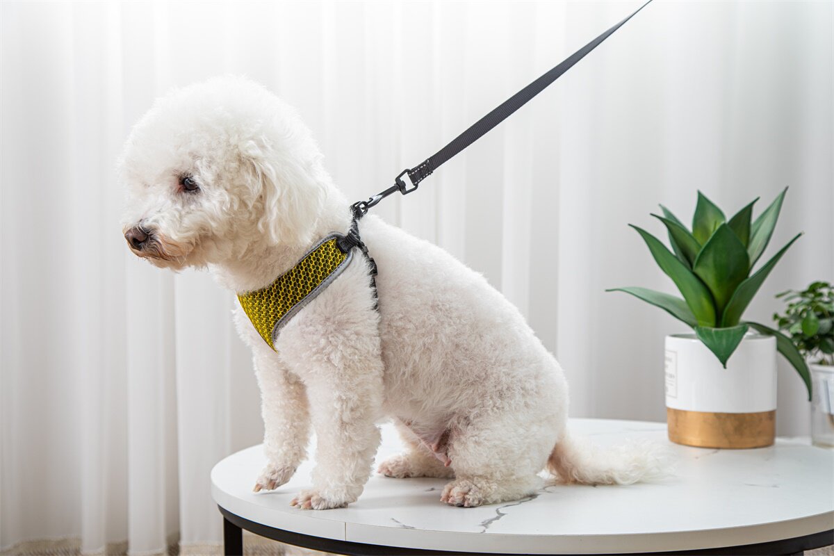 Pet Dog Walking Leash Vest-style Harness