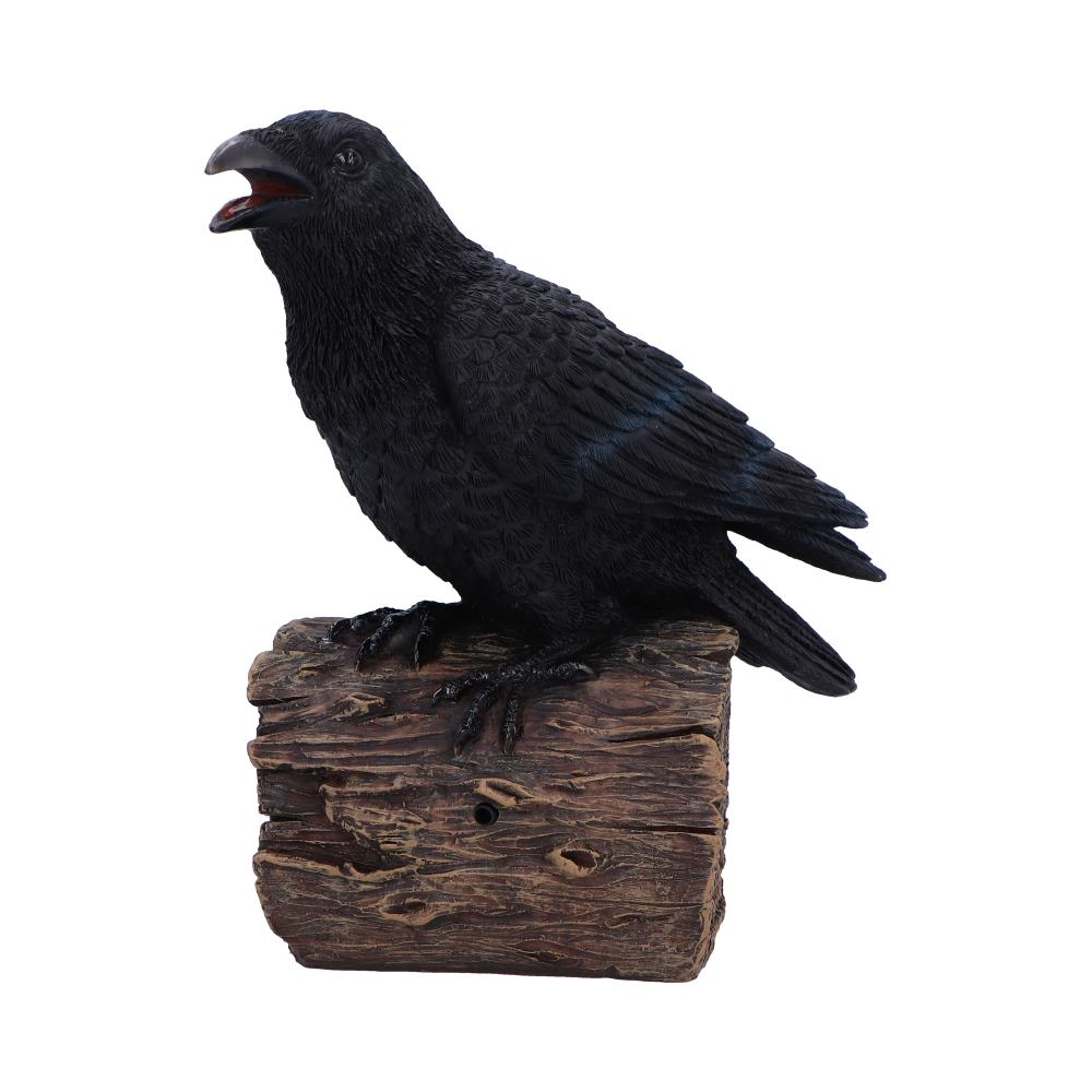 Ravens Cry 18cm