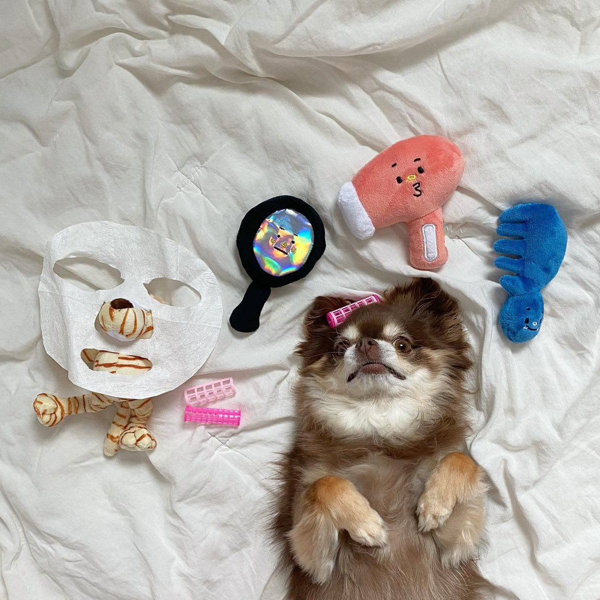 Three-piece Dog Toy Set With Washing Blowing And Haircutting
