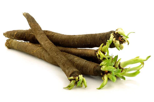 Fresh Salsify | Oyster Plant | 1kg