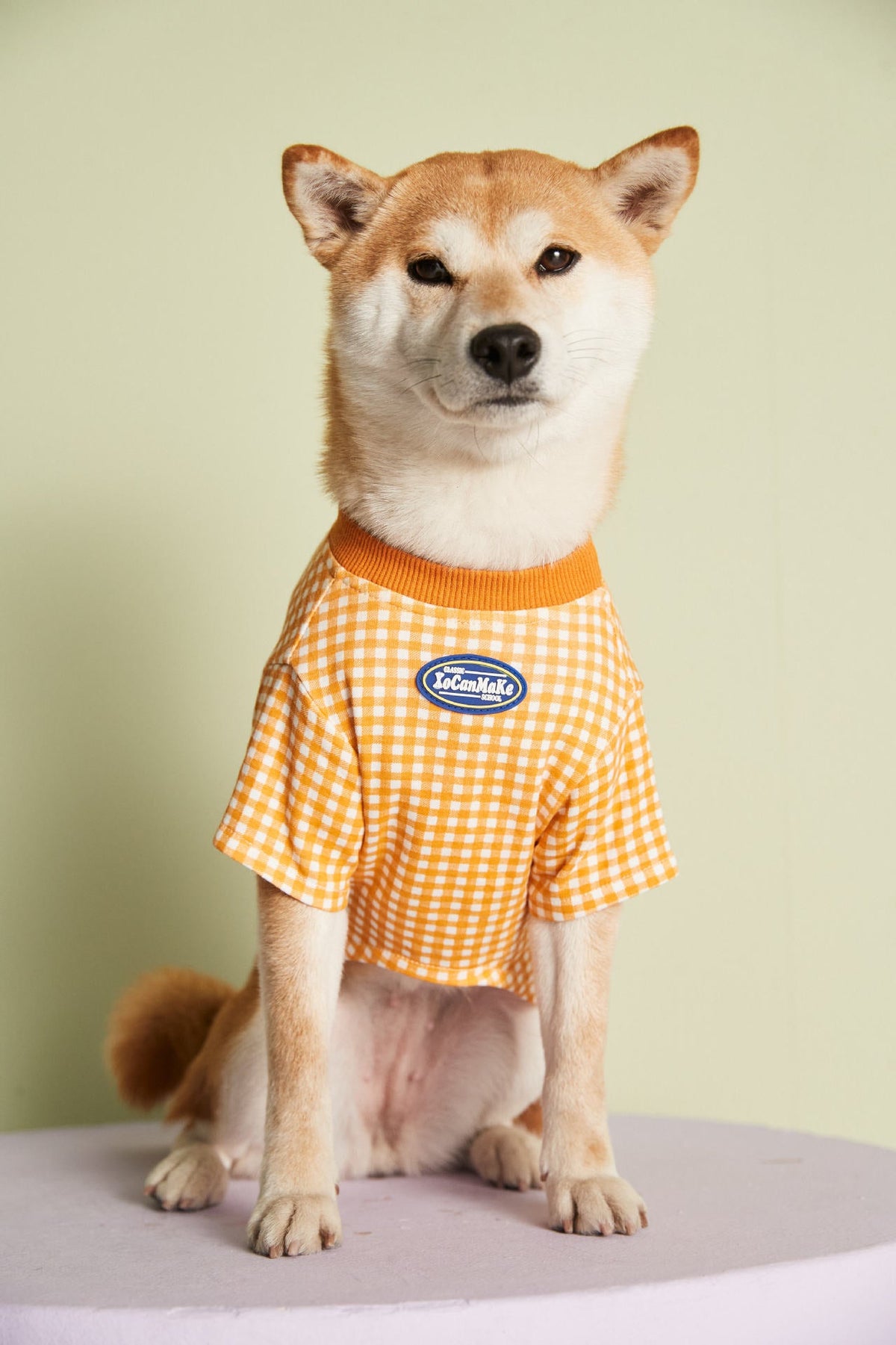 Summer Thin Candy Color Plaid T-Shirt Teddy