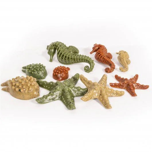 Elkwood Vegetable Sea Creatures + Seaweed Medium 6pc 160g