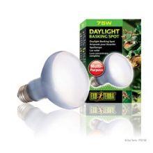 Exo Terra Daylight Basking Spot Lamp 75W