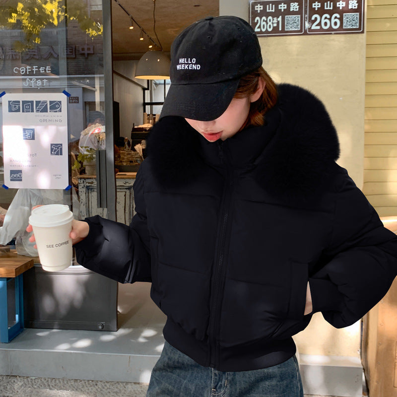Thick Warm Hooded Short Big Fur Collar Loose Petite Cotton-padded Coat