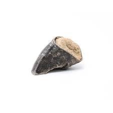 Filled Hoof Natural Dog Treat