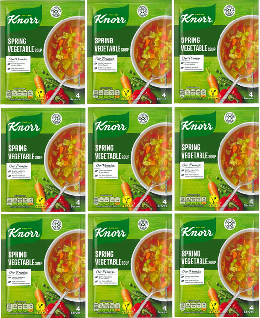 Knorr Spring Vegetable Dry Packet Soup 48g | Case of 9