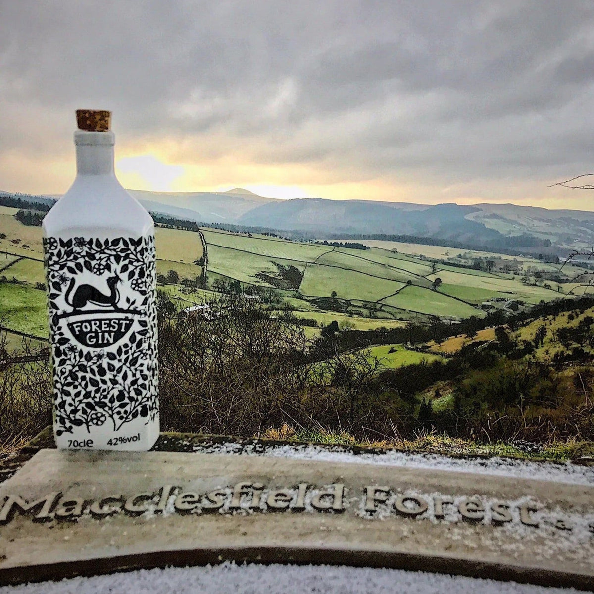 Forest Distillery Gin, 70cl