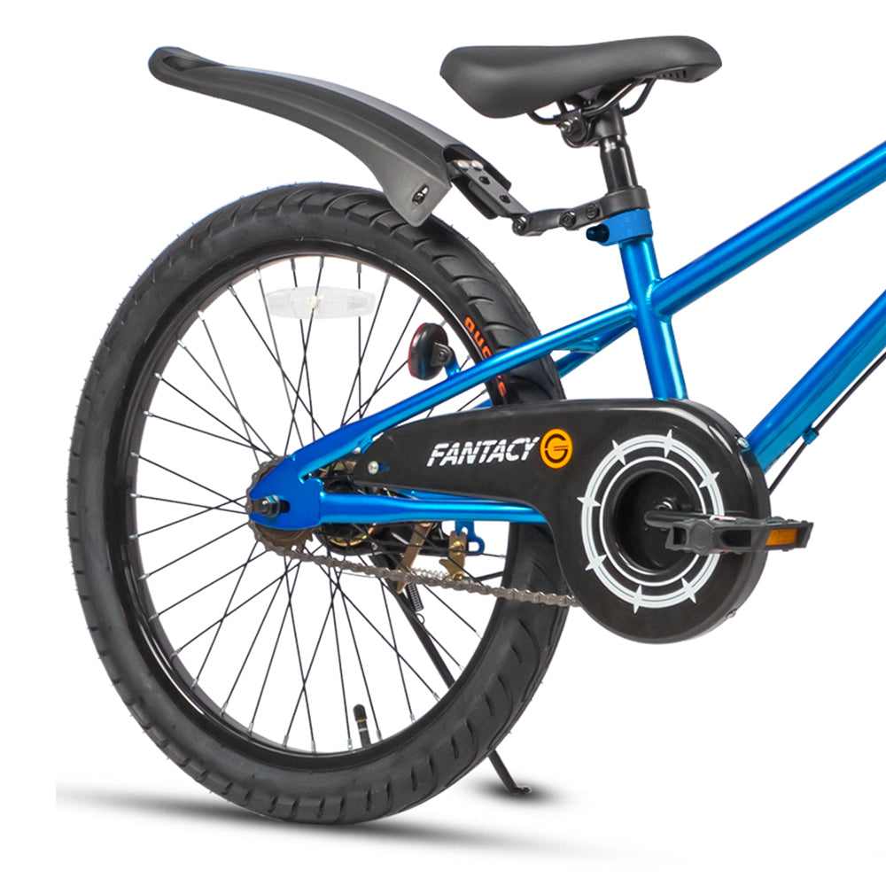 Glerc 20 Inch Kids Bike with Water Bottle - Fantacy