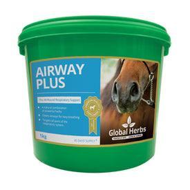 Global H Airway Plus