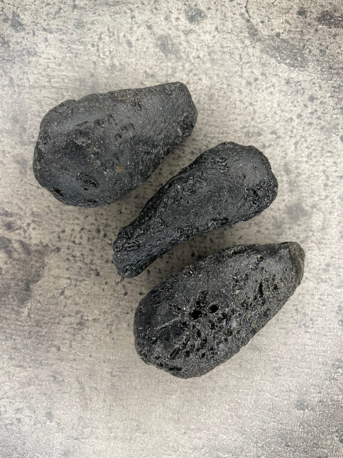 Tektite - Specimen