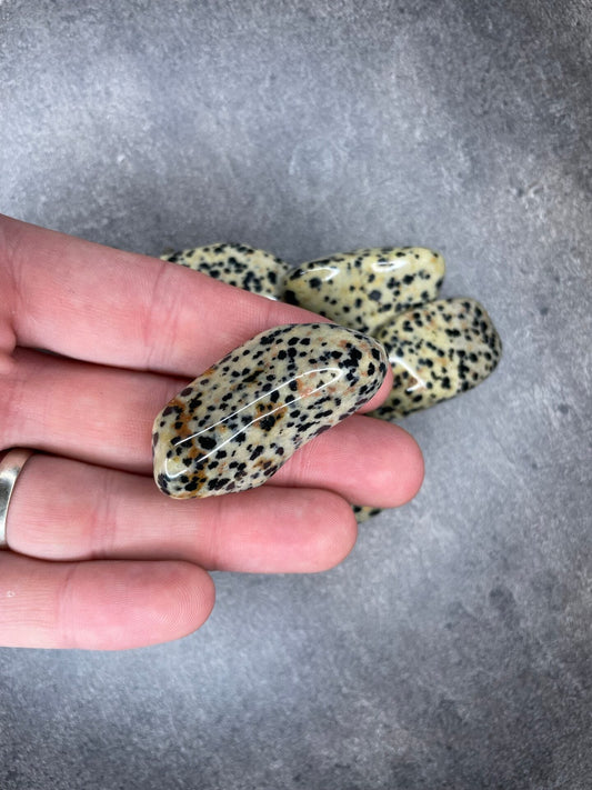 Dalmatian Jasper Tumblestone