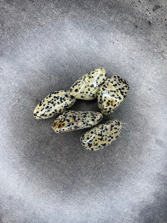 Dalmatian Jasper Tumblestone