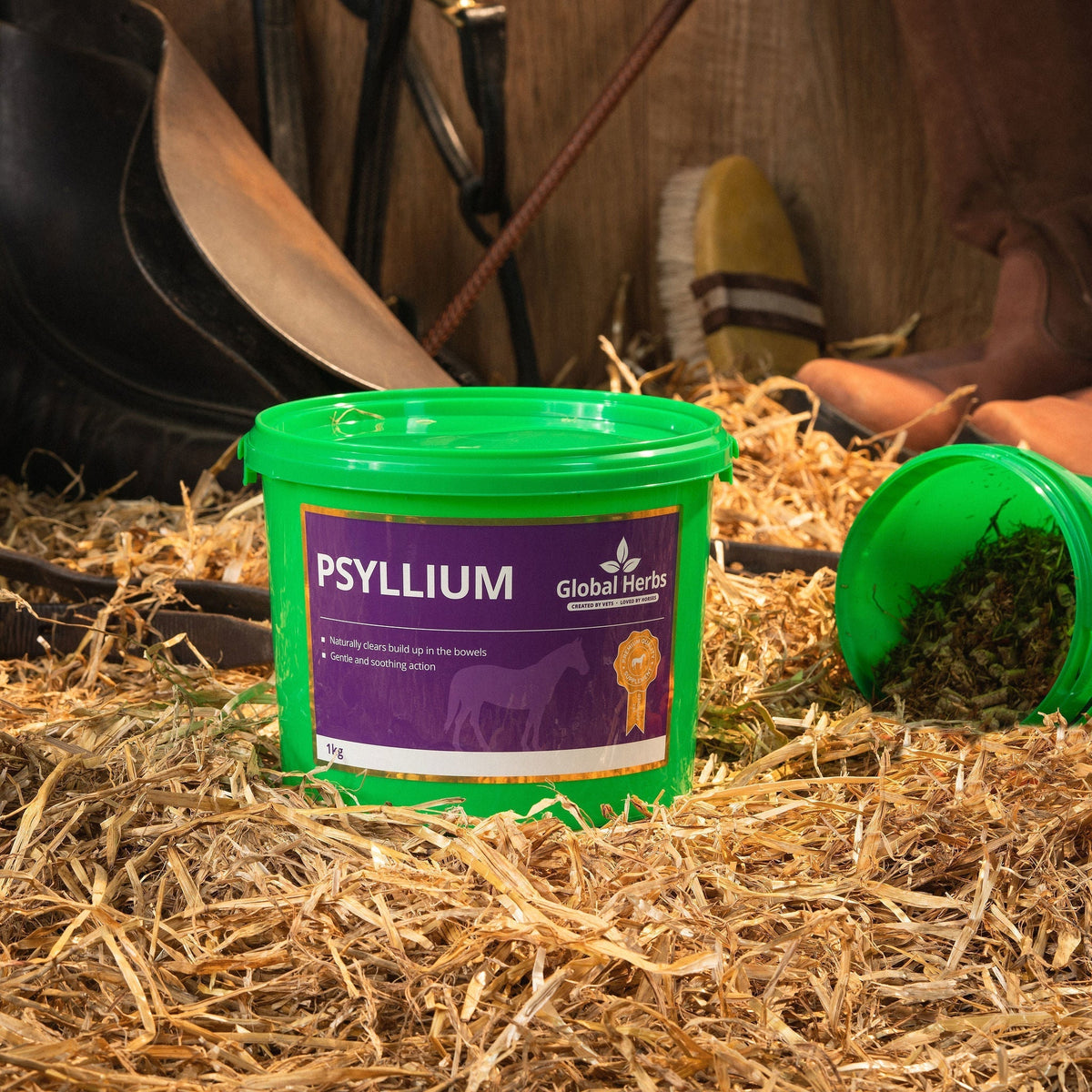 Psyllium 1kg - Global Herbs