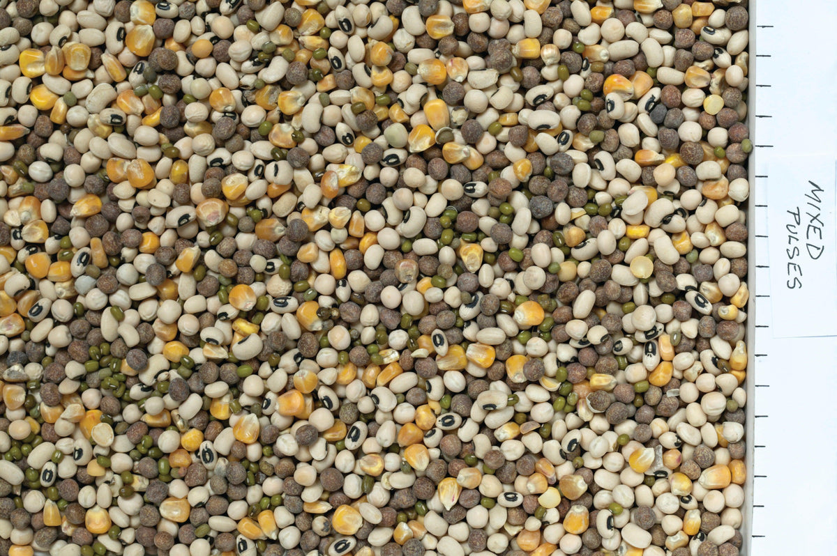 Johnston & Jeff Mixed Pulses 12.5kg