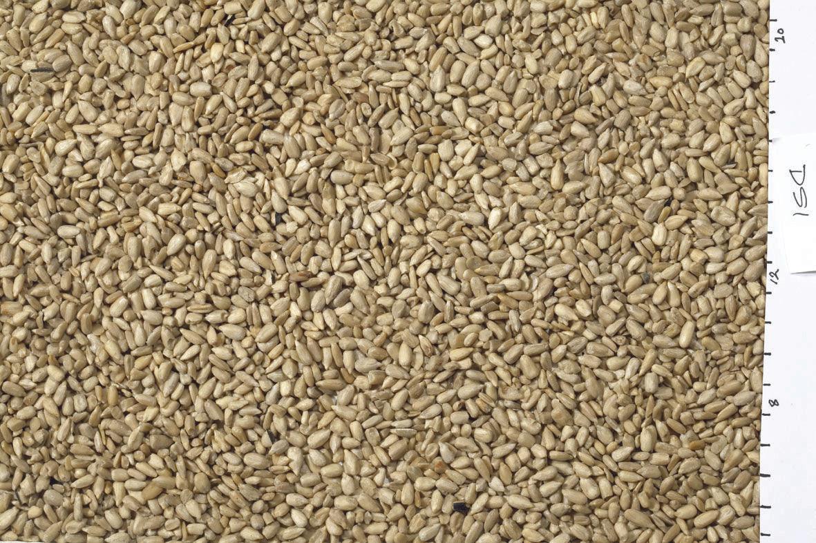 Johnston & Jeff White Sunflowerseed 10kg