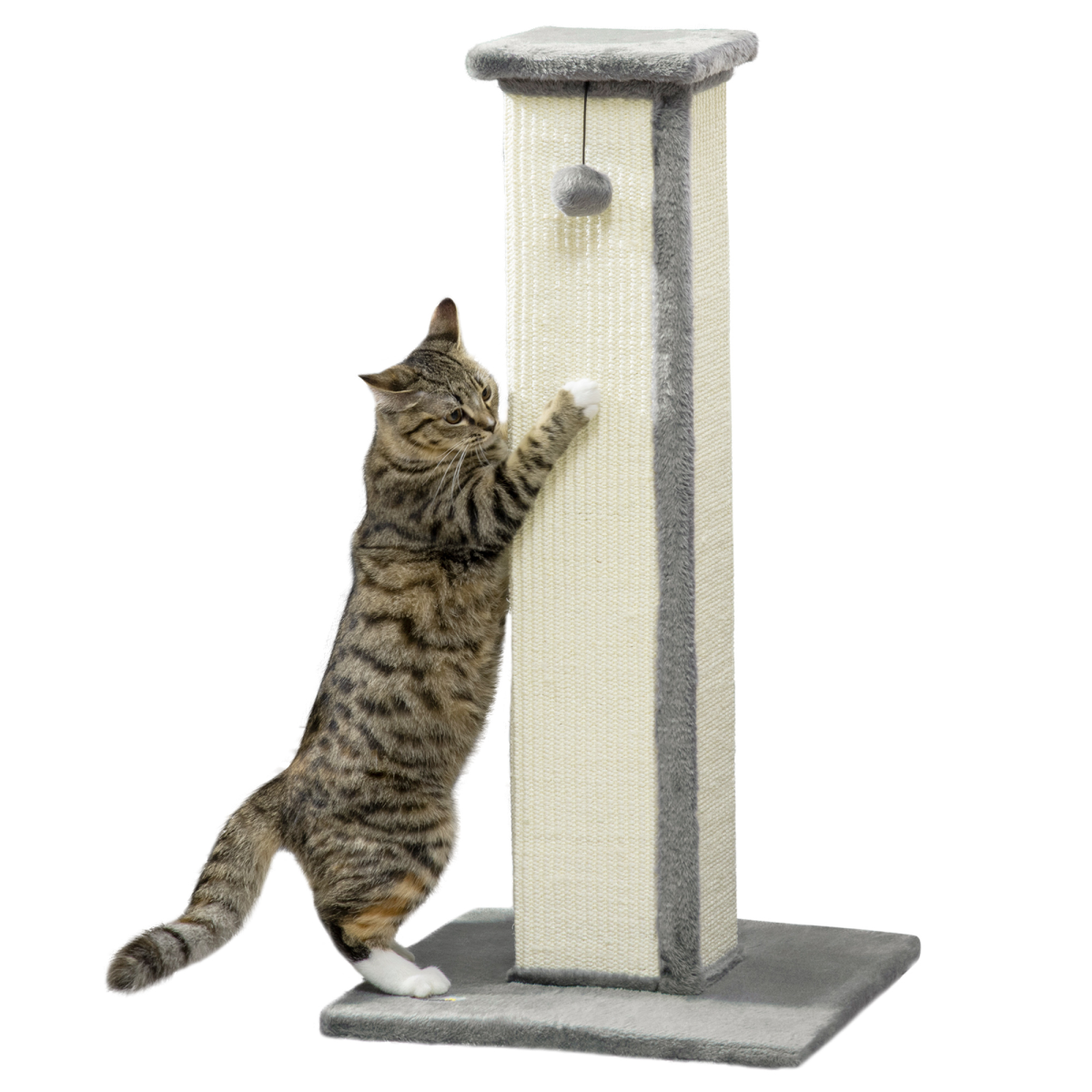 Cat Scratching Post 81cm Cat Scratcher w/ Natural Sisal Rope Hanging Ball Grey