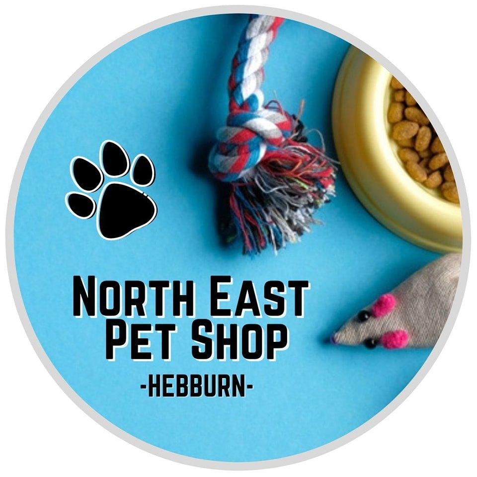 Mason Cash Pot Dog Bowl Yellow 250mm