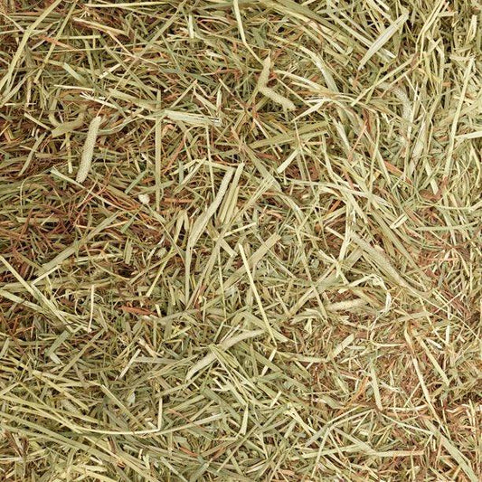 Meadow & Timothy XL Hay Bags 3kg | Premium Small Animal Hay