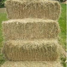 Meadow Hay Bale - The North East Pet Shop
