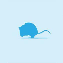 Monkfield Mouse Medium 15-20g, 5pack