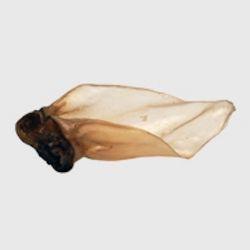 NAW Buffalo Ear & Meat Large, 50pcs