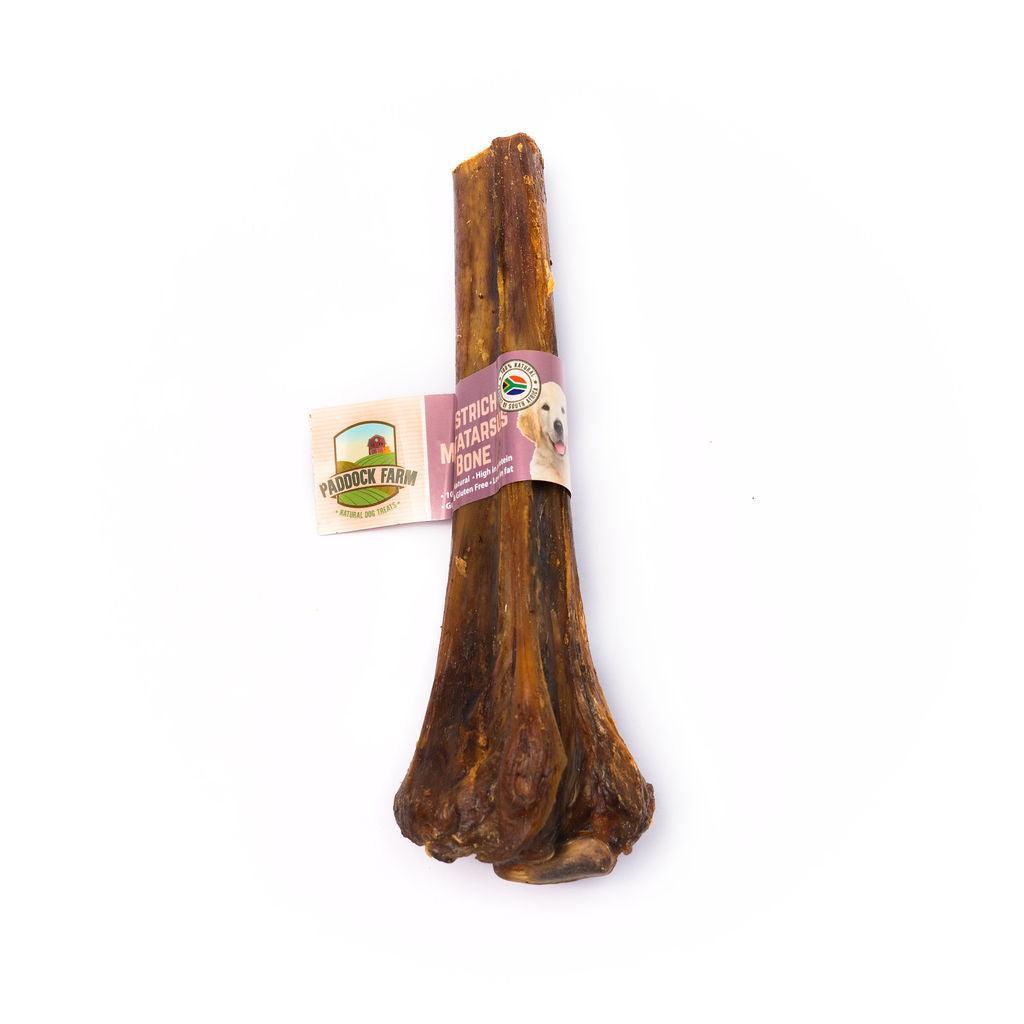 Ostrich Metatarsus Bone - Case of 5