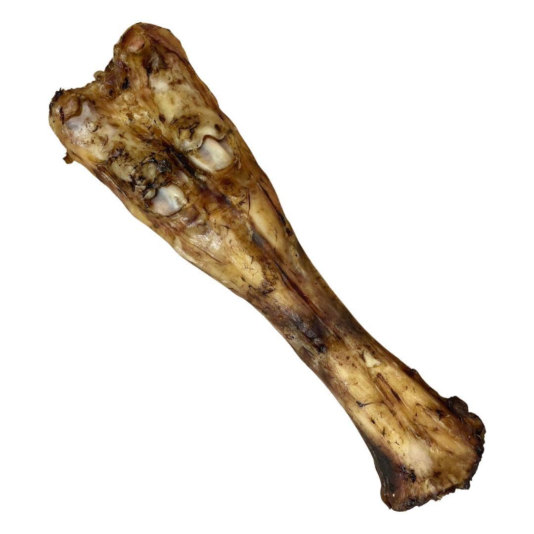 Nova Dog Chews Beef Leg Bone - Case of 10
