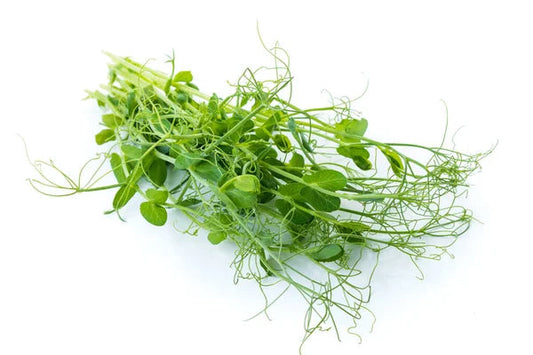 Puntas de guisante cestilla | Microvegetales frescos | 100g