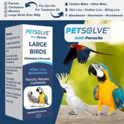 Petsolve Anti-Parasite Large Bird, 5ml - Case of 6