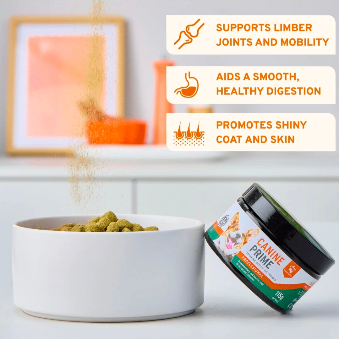 Canine Prime 40-in-1 Superfood-Ergänzung für Hunde