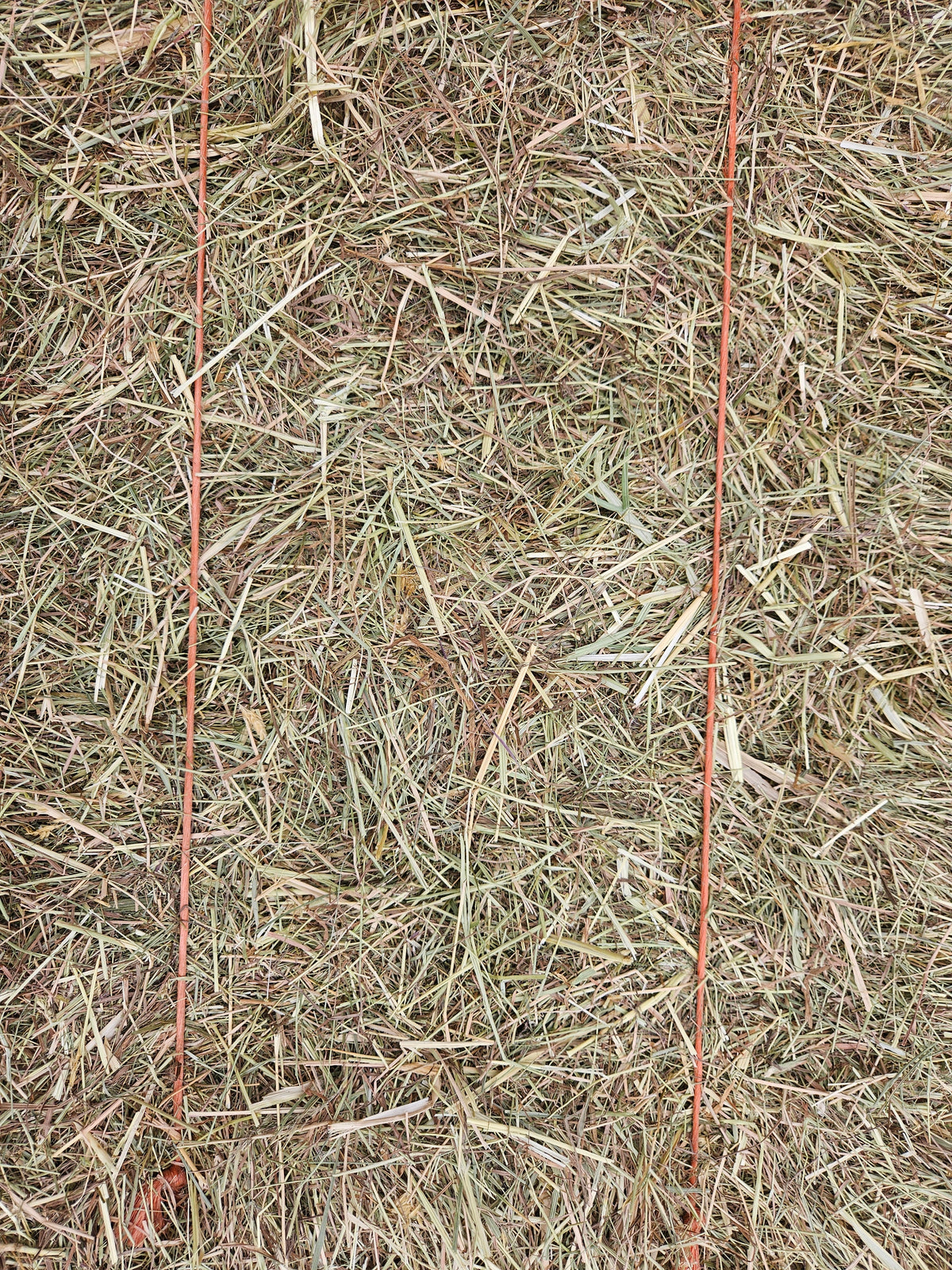 Meadow Hay Bale - The North East Pet Shop