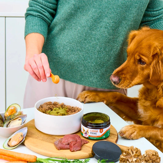 Canine Prime: Suplemento superalimento 40 en 1 para perros